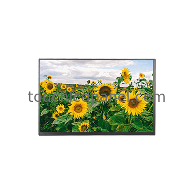 Panel LCD de 10.1