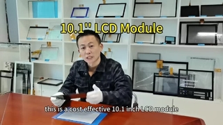 Módulo LCD rentable de 10,1'' 1280x800